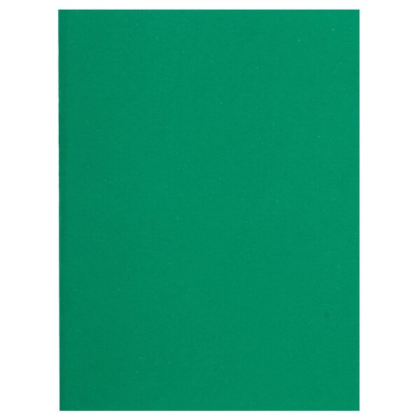 Paquet De 100 Sous-chemises Flash 80 100  Recyclé - 22x31cm - Vert - X 10 - Exacompta