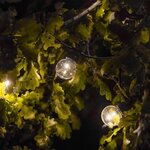 LUMI JARDIN Guirlande lumineuse extérieure connectable Party Clear - 20 globes guinguette - LED - 9,6 m - Blanc chaud