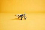LEGO Technic - Avion de Brousse 42198 : Construisez et Explorez