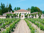 SMARTBOX - Coffret Cadeau - Sur la Route des vins - À choisir parmi 116 séjours au cœur de vignobles
