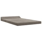 vidaXL Canapé-lit pliable Gris clair 120 x 60 x 49 cm Tissu