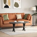 vidaXL Pieds de table basse en forme de X  2 pièces  noir  38 x (42-43) cm  acier