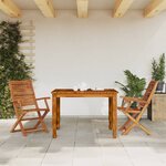 vidaXL Chaises pliantes de jardin avec accoudoir lot de 2