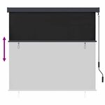 vidaXL Store Roulant Extérieur Rayé Anthracite 180 x 250 cm tissu