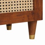 vidaXL Buffet Marron 40 x 33.5 x 75 cm Rotin et bois de mango massif