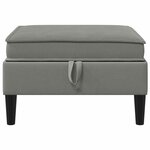 vidaXL Pouf avec Rangement Gris foncé Velours