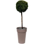 EDA Vase Toscane haut - Ø 46 x H 65 cm - 67 L - Taupe