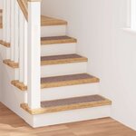 vidaXL Marches d'escalier 15 Pièces Marron clair 75 x 20 cm Polypropylène