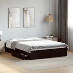 vidaXL Cadre de lit avec tiroirs sans matelas noir 120x200 cm