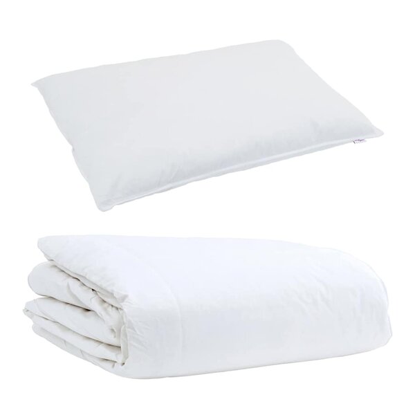 vidaXL Duvet d'été simple avec oreiller 2 Pièces Blanc Plume de canard