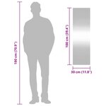 vidaXL Miroir mural 30x100 cm Verre Rectangulaire