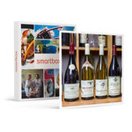 SMARTBOX - Coffret Cadeau Passion vins : atelier œnologique de 2h en France pour 1 personne -  Gastronomie