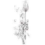 Étui de 5 crayons graphite Castell 9000 Jumbo HB 2B 4B 6B 8B x 10 FABER-CASTELL
