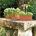 DEROMA Jardiniere Day R cotto - Coloris terre rouge - 40cm