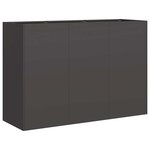 vidaXL Jardinière noir 120x40x80 cm acier laminé à froid