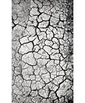 Tapis de salon PEBBLE 160 x 230 cm - Gris