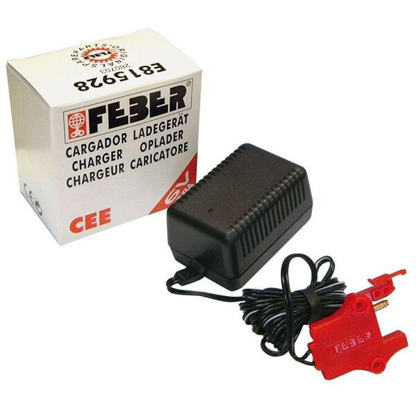 Chargeur de Batterie pour Véhicules Electriques 12V - FEBER