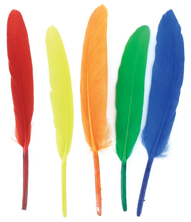 Plumes indiennes multicolores Activités enfant 7 à 15 cm 120 pièces