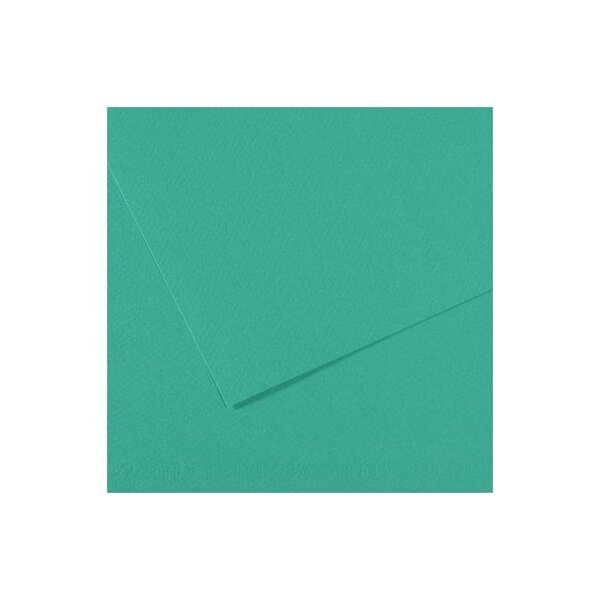 Paquet 25 Feuilles MI-TEINTES® 50X65 160G MERS DU SUD 119 CANSON