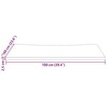 vidaXL Dessus de bureau blanc 100x60x2 5 cm bois massif de pin