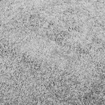 vidaXL Tapis shaggy PAMPLONA poils longs moderne gris Ø 160 cm