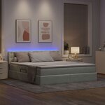 vidaXL Lit avec rangement et LED Gris clair 180 x 200 cm Velours
