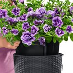 LECHUZA Jardinière suspendue NIDO Cottage 28 ALL-IN-ONE Granite