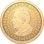 Monnaie MAPLE LEAF Ultra High Relief 1 Oz Or 200$ Canada 2026