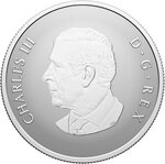 Pièce de monnaie en Argent 10 Dollars g 15.57 (1/2 oz) Millésime 2026 WELCOME TO THE WORLD
