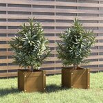 vidaXL Jardinières d'extérieur 2Pièces Marron miel 31x31x31cm Bois de pin