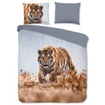 Good Morning Housse de couette TIGER 200x200/220 cm Multicolore