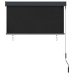vidaXL Store roulant d'extérieur 120 x 250 cm Anthracite