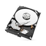 SEAGATE - Disque dur Interne - Surveillance SkyHawk - 1To - 5 900 tr/min - 3.5 (ST1000VX005)