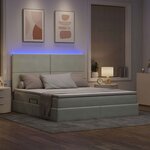 vidaXL Lit avec rangement et LED Gris clair 160 x 200 cm Velours