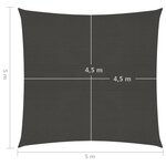 Vidaxl voile d'ombrage 160 g/m² anthracite 5x5 m pehd
