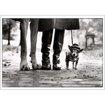Usa  New York  1974  Felix  Gladys And Rover - Draeger paris