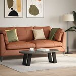 vidaXL Pieds de table basse en U 2 pièces Noir 30 x (30-31) cm Acier