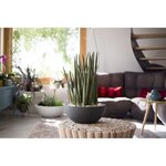 Pot de fleur Plastique Rond Graphit Up Gris anthracite Ø 40 cm 14 9 L