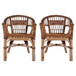 vidaXL Chaises d'extérieur lot de 2 Rotin naturel Marron