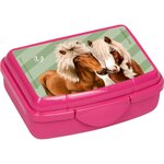 Coppenrath Verlag 18127 - Mini boîte à goûter - Amis des chevaux