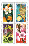 Carnet de 12 timbres - Fleurs et douceurs - Lettre Verte