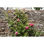 Nature Palissade de jardin 45 x 180 cm Bambou