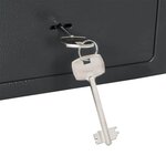 vidaXL Coffre-fort Gris foncé RAL7016 17 x 23 x 17 cm Acier