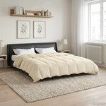 vidaXL Duvet d'hiver 200 x 240 cm Hiver Microfibre (100  polyester)