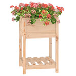 vidaXL Jardinière avec étagère 54x54x81 cm Bois massif de pin