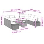 vidaXL Canapé de jardin 10 pièces avec coussins - Poly Rattan noir