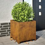 vidaXL Jardinière 50x50x50 cm acier résistant aux intempéries