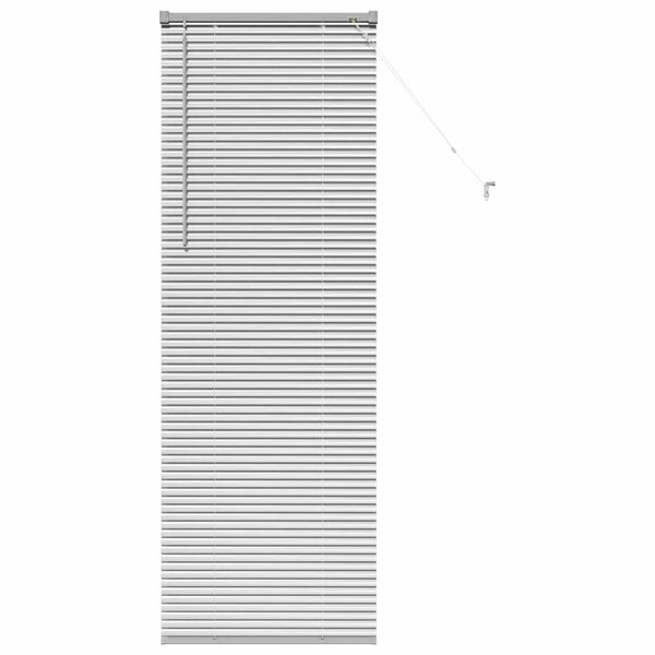 vidaXL Store de Fenêtre avec des rideaux Manuel Argent Aluminium