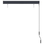 vidaXL Store roulant d'extérieur 120 x 250 cm Anthracite
