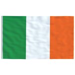 vidaXL Drapeau de l'Irlande et mât 5 55 m Aluminium